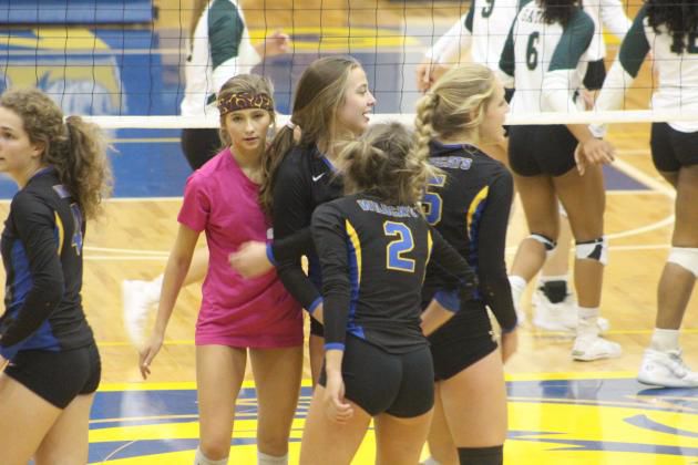 lexington volleyball